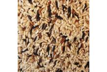 TRIO DE RIZ DE CAMARGUE