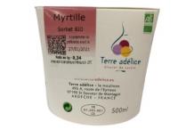 SORBET MYRTILLE