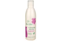 SHAMPOO,ANTIPELLICULAIRE