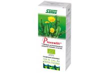 SUC DE PISSENLIT BIO