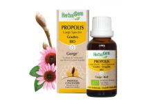 PROPOLIS EXT GOUTTES 15ML