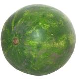 PASTEQUE KG