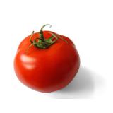 TOMATE RONDE KG