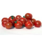 TOMATE CERISE ALLONGÉE KG