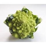 CHOU ROMANESCO PIECE