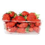 FRAISE BARQUETTE 250GR