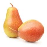 POIRE ANGELYS KG