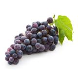 RAISIN BLANC ITALIA