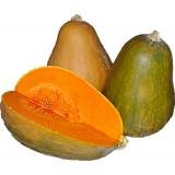 COURGE SUCRINE BERRY KG