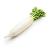 RADIS DAIKON KG