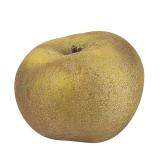 POMME CANADA GRISE