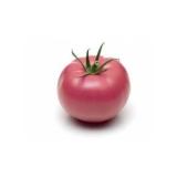 TOMATE ROSE GENEROSE KG