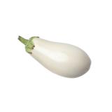 AUBERGINE BLANCHE KG