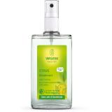 DEODORANT CITRUS SPRAY