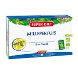 MILLEPERTUIS AMP,