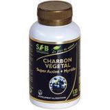 CHARBON VEGETAL MYRTILLE