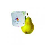 SORBET POIRE WILLIAM