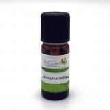 EUCALYPTUS RADIATA 10ML HE BONESCIENT