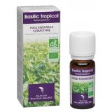 BASILIC TROPICAL