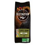 CAFE MOKA ETHIOPIA SIDAMO