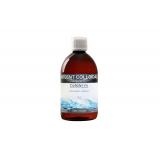 ARGENT COLLOIDAL 20PP 500ML