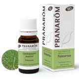 PALMAROSA BIO HE 10ML PRANAROM