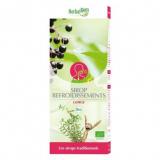 SIROP APAISANT 250ML HERBALGEM