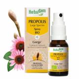 PROPOLIS EXT SPRAY 15ML