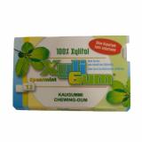 XYLI GUM MENTHE VERTE