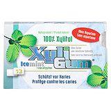 XYLI GUM MENTHE EUCALYPTUS